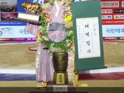 윤필재 군복무 끝나자마자 태백장사 올라 화제