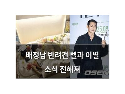 배정남 반려견 벨과 이별 소식 전해져