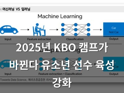 2025년 KBO 캠프가 바뀐다 유소년 선수 육성 강화