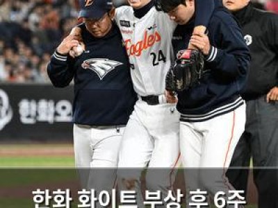 한화 화이트 부상 후 6주 대체 외국인 선수 영입 발표