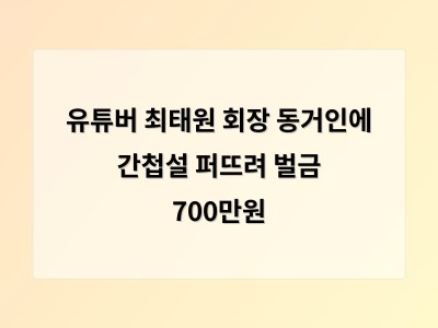 박순혁 유튜브에서 최태원 동거인 중국 간첩설 퍼뜨려 벌금형 선고