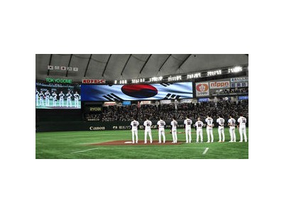 KBO 국가대표팀 오키나와 캠프 참관단 모집