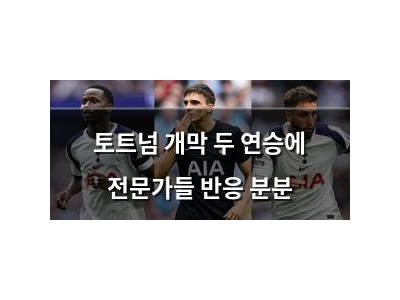 토트넘 개막 두 연승에 전문가들 반응 분분