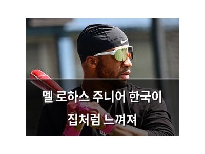 멜 로하스 주니어 한국이 집처럼 느껴져