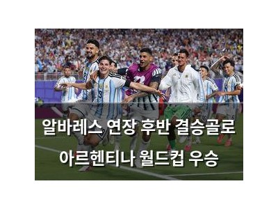 알바레스 연장 후반 결승골로 아르헨티나 월드컵 우승