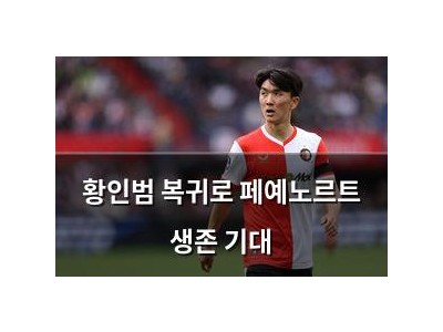 황인범 복귀로 페예노르트 생존 기대