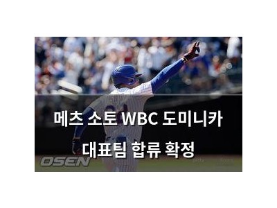 메츠 소토 WBC 도미니카 대표팀 합류 확정